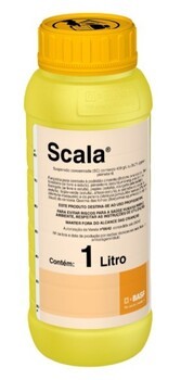 Scala 1L